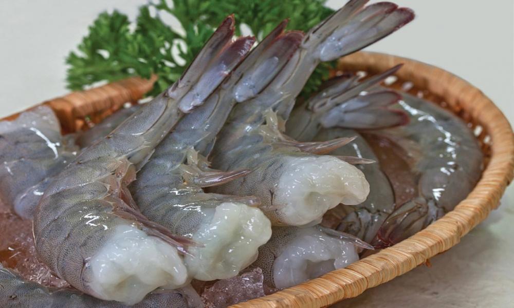 White shrimp HLSO